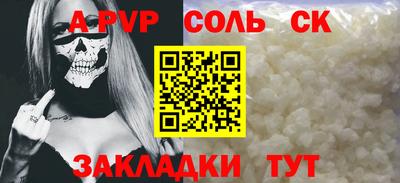 СК Новодвинск
