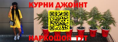 шишки Нарткала