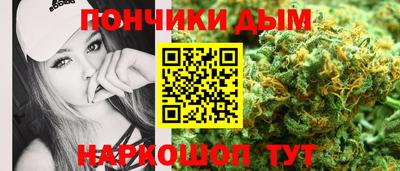 крисы Новокубанск