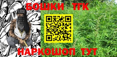 крисы Новокубанск