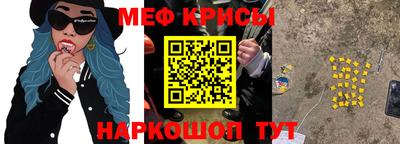 СК Новодвинск