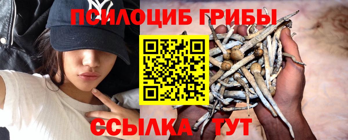 Галлюциногенные грибы GOLDEN TEACHER Вольск