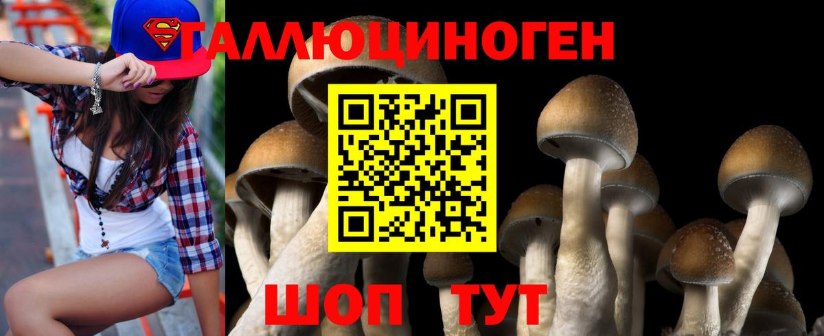 Галлюциногенные грибы Psilocybine cubensis Вольск