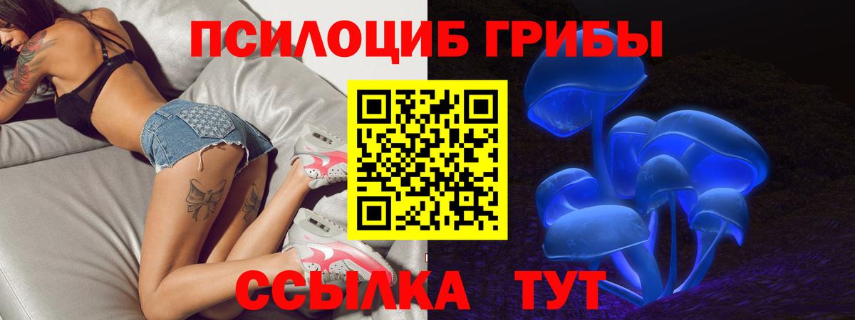 Вольск  Псилоцибиновые грибы прущие грибы  Вход с VPN 